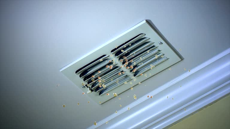 Best Air Duct Cleaning Company Near Me  in Terre Hill, PA