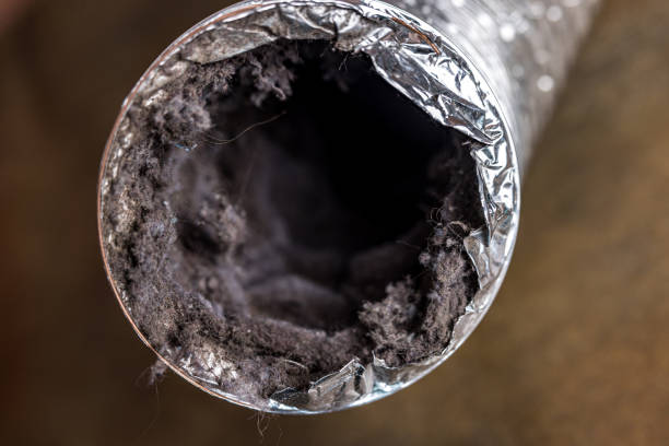 Best Affordable Duct Cleaning Services  in Terre Hill, PA